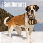 BrownTrout Publisher, Browntrout Publishers (COR) - Saint Bernards 2018 Calendar