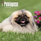 BrownTrout Publisher, Browntrout Publishers (COR) - Pekingese 2018 Calendar