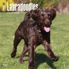 BrownTrout Publisher, Inc Browntrout Publishers, Browntrout Publishers (COR) - Labradoodles 2018 Calendar