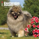 BrownTrout Publisher, Browntrout Publishers (COR) - Keeshonden 2018 Calendar