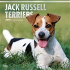 BrownTrout Publisher, Inc Browntrout Publishers, Browntrout Publishers (COR) - Jack Russell Terriers 2018 Calendar