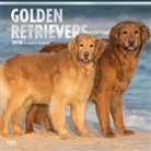 BrownTrout Publisher, Inc Browntrout Publishers, Browntrout Publishers (COR) - Golden Retrievers 2018 Calendar