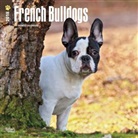 BrownTrout Publisher, Inc Browntrout Publishers, Browntrout Publishers (COR) - French Bulldogs 2018 Calendar