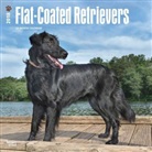 BrownTrout Publisher, Browntrout Publishers (COR) - Flat Coated Retrievers 2018 Calendar