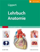 Herbert Lippert - Lehrbuch Anatomie