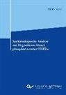 Jonatan Helzel, Jonathan Helzel - Spektroskopische Analyse zur Degradation blauer phosphoreszenter OLEDs