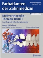 Tena Eichenberg, Herber F Wolf, Herbert F Wolf, Andrea Wichelhaus - Kieferorthopädie - Therapie Band 1. Bd.1