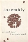 Michael Hardt, Michael (Professor of Literature Hardt, Michael Negri Hardt, Hardt Michael, Antonio Negri, Negri Antonio - Assembly