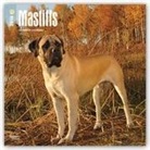 Browntrout Publishers (COR) - Mastiffs 2018 Calendar