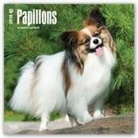 Browntrout Publishers (COR) - Papillons 2018 Calendar