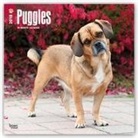 Browntrout Publishers (COR) - Puggles 2018 Calendar