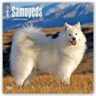 Browntrout Publishers (COR) - Samoyeds 2018 Calendar