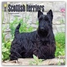 Browntrout Publishers (COR) - Scottish Terriers 2018 Calendar