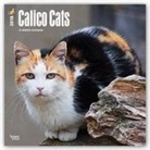 Inc Browntrout Publishers, Browntrout Publishers (COR) - Calico Cats 2018 Calendar