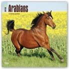 Inc Browntrout Publishers, Browntrout Publishers (COR) - Arabians 2018 Calendar