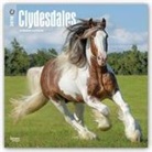 Inc Browntrout Publishers, Browntrout Publishers (COR) - Clydesdales 2018 Calendar