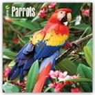 Browntrout Publishers (COR) - Parrots 2018 Calendar
