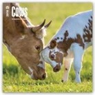 Browntrout Publishers (COR) - Cows 2018 Calendar