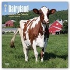 Browntrout Publishers (COR) - Dairyland America s Cow Calendar 2018
