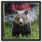 Wyman (COR) - Bears 2018 Calendar