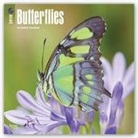 Browntrout Publishers (COR) - Butterflies 2018 Calendar