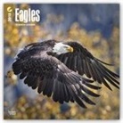 Browntrout Publishers (COR) - Eagles 2018 Calendar