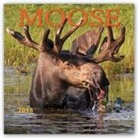 Wyman (COR) - Moose 2018 Calendar