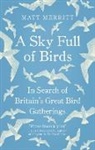 Matt Merritt, Merritt Matt - A Sky Full of Birds