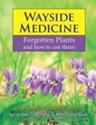Julie Bruton-Seal, Julie Seal Bruton-Seal, Matthew Seal - Wayside Medicine