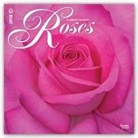 Browntrout Publishers (COR) - Roses 2018 Calendar