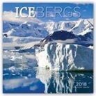 Wyman (COR) - Icebergs 2018 Calendar