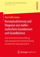 Nora Feldt-Caesar - Konzeptualisierung und Diagnose von mathematischem Grundwissen und Grundkönnen