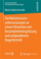 Marta Cudeiro Torruella - Partikelemissionsuntersuchungen an einem Ottomotor mit Benzindirekteinspritzung und aufgeladenem Magerbetrieb