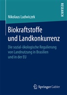 Nikolaus Ludwiczek - Biokraftstoffe und Landkonkurrenz