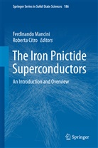 Citro, Citro, Roberta Citro, Ferdinand Mancini, Ferdinando Mancini - The Iron Pnictide Superconductors