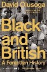 David Olusoga - Black and British