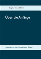 Stephan Bernard Marti - Über die Anfänge