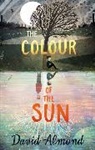 David Almond, David Alomnd - The Colour of the Sun