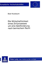 Beat Nussbaum - Die Wirtschaftlichkeit eines Zivilprozesses um eine Geldforderung nach bernischem Recht