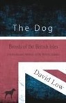 David Low - The Dog - Breeds of the British Isles (Domesticated Animals of the British Islands)
