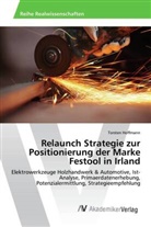 Torsten Hoffmann - Relaunch Strategie zur Positionierung der Marke Festool in Irland