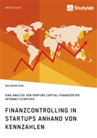 Waldemar Hein - Finanzcontrolling in StartUps anhand von Kennzahlen