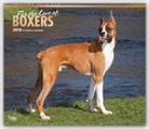 Browntrout Publishers (COR) - For the Love of Boxers 2018 Calendar