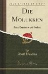 Adolf Bastian - Die Molukken: Reise-Ergebnisse Und Studien (Classic Reprint)