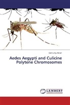 Celina Aju-Ameh - Aedes Aegypti and Culicine Polytene Chromosomes