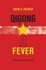 David A Palmer - Qigong Fever