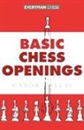 Gabor Kallai - Basic Chess Openings