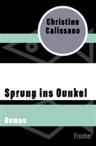 Christine Calissano - Sprung ins Dunkel