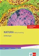 Carl Baller, Carla Baller, Hann Eckebrecht, Hanna Eckebrecht, Horst Schneeweiss - Natura, Biologie-Trainer, Oberstufe: Natura Abiturtraining Zellbiologie