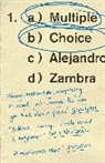 Alejandro Zambra, Zambra Alejandro - Multiple Choice